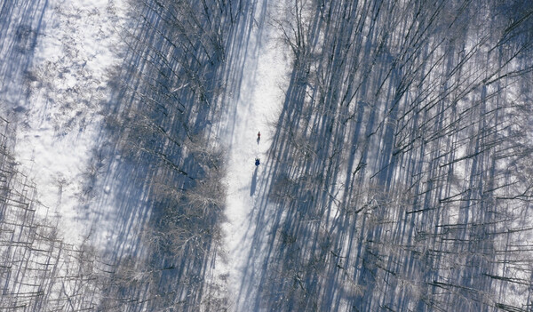 Wild Women Breaking Trail